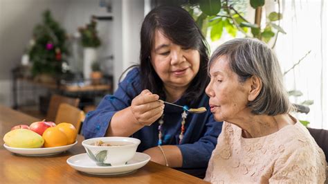 Japanese Mother Taking Care of Family